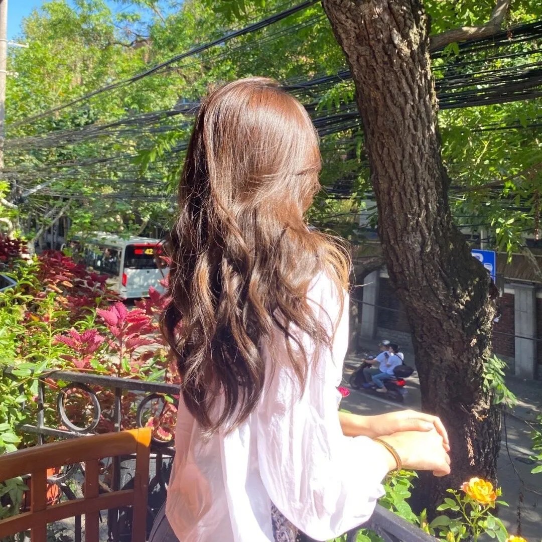 托托的色彩美学观