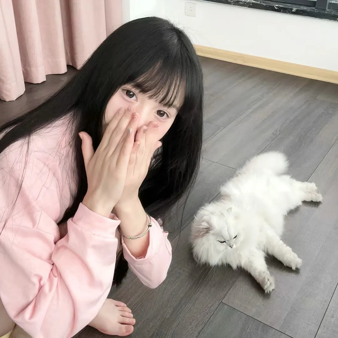 圣·弗朗西斯